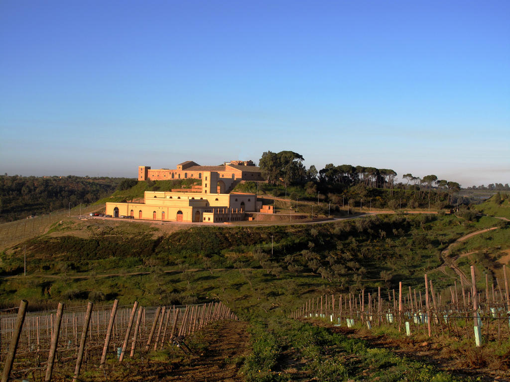 Wine Relais Feudi Del Pisciotto Βίλα Niscemi Εξωτερικό φωτογραφία